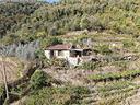 casa-indipendente-a-badalucco