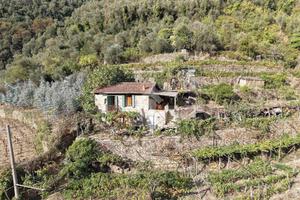 CASA INDIPENDENTE A BADALUCCO