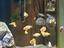 Immagine 1