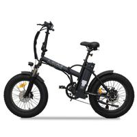 BICI ELETTRICA LEM MOTORS 250W 36V ORLANDO COMFORT