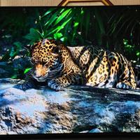 LG OLED 4K 65CX6LA 65 Pollici