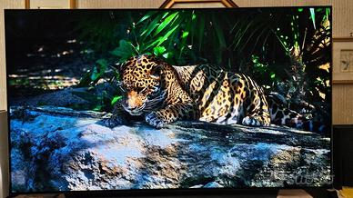 LG OLED 4K 65CX6LA 65 Pollici