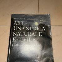 Arte. Una stiria naturale e civile 4