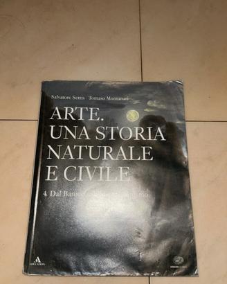 Arte. Una stiria naturale e civile 4