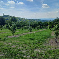 Teren edificabile TreCunei