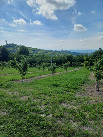 Teren edificabile TreCunei