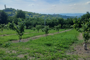 Teren edificabile TreCunei