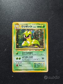 Victreebel Holo - Carte Pokemon Set Jungle
