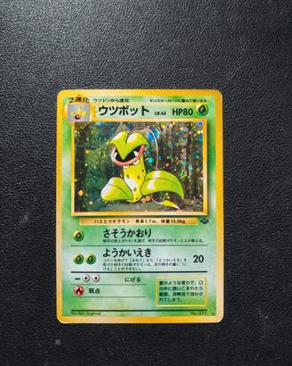 Victreebel Holo - Carte Pokemon Set Jungle