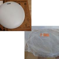 Pelli nuove 18" Ambassador Clear + Evans G1 Coaed