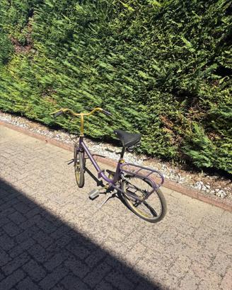 Bicicletta Graziella