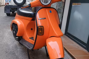 Vespa elaborata