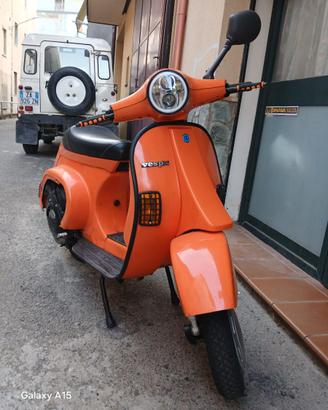 Vespa elaborata