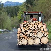 Legna da Ardere Stagionata, Essiccata, Secca.