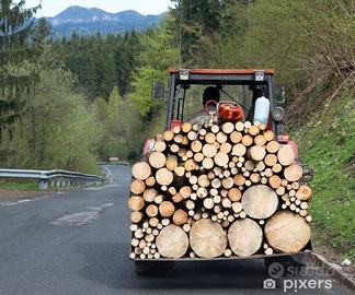 Legna da Ardere Stagionata, Essiccata, Secca.