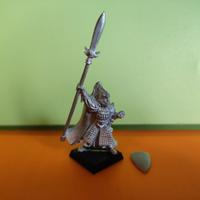 Eroe  5 ed Elfi Alti Warhammer