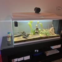 Acquario 80L