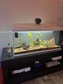 Acquario 80L