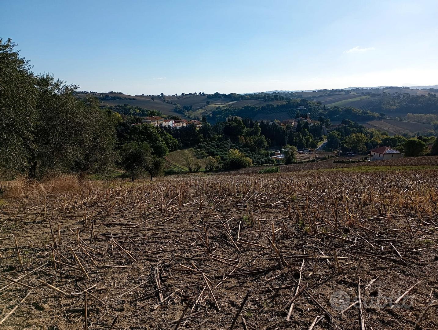 Terreno agricolo seminativo - Vista 4
