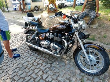 Triumph america