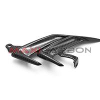 Estrattore aria carbonio BMW S 1000 RR 2019