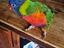 Immagine 4