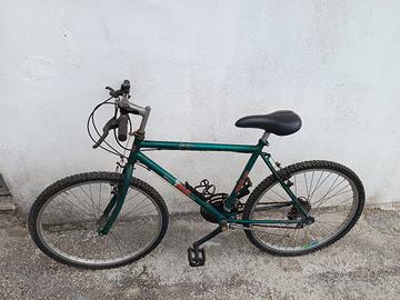 Bicicletta Mountain bike 