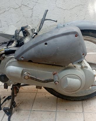 ricambi piaggio free 50