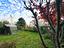 Immagine 14