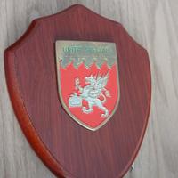 crest Guardia di finanza reparti speciali 