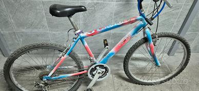 Mountain bike