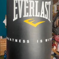 Sacco da boxe da terra Everlast