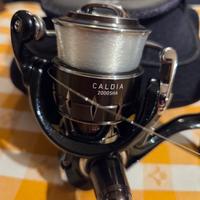 mulinello daiwa caldia sha 2000