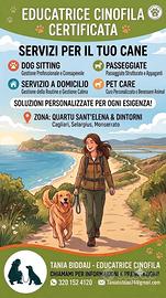Dog Sitter & Passeggiate Su Misura |