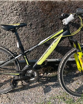 Mtb 24’