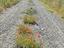 Immagine 24