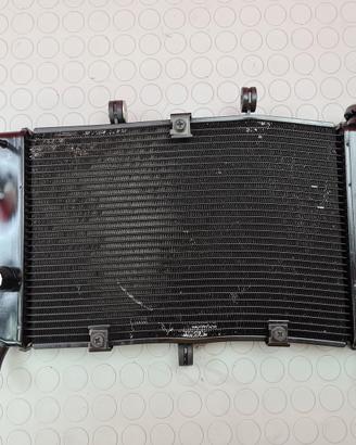 RADIATORE ACQUA YAMAHA XJ6 2008 2009 XJ-6 2010 201