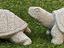Immagine 26