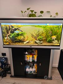 Acquario 180 LT completo 