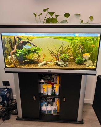 Acquario 180 LT completo 