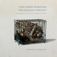 Geoffrey Hendricks with Brian Bucza