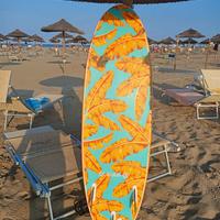 Surf ragazzo/a