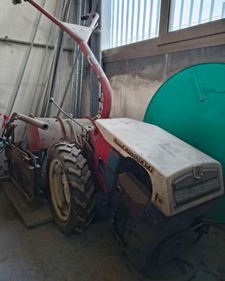 Motocoltivatore antonio carraro - carrarino specia