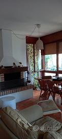 Lignano pineta