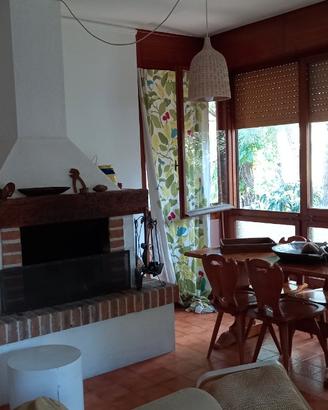 Lignano pineta