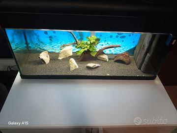 acquario 90 litri