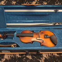 Violino  Domus Musica 