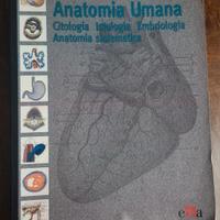  Libro di Anatomia Umana 