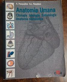  Libro di Anatomia Umana 