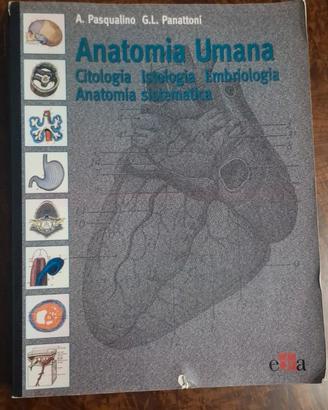  Libro di Anatomia Umana 